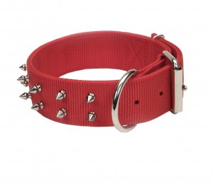    Coastal Macho Dog,      Coastal Macho Dog,  