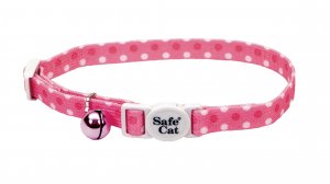    Coastal Fashion Safe Cat,      Coastal Fashion Safe Cat,  