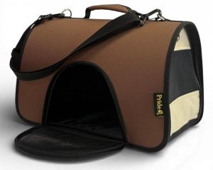  ���������-����� �������, ���� ����������