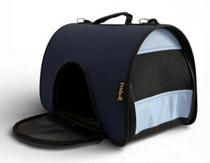  ���������-����� �������, ���� �����