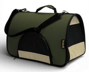  ���������-����� �������, ���� ����