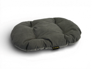  ������ FRESH, ���� �����