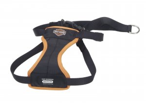  Harley-Davidson    Harley-Davidson  